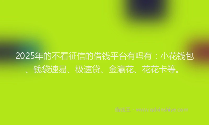 2025年的不看征信的借钱平台有吗有：小花钱包、钱袋速易、极速贷、金瀛花、花花卡等。