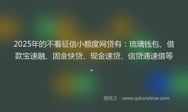 2025年的不看征信小额度网贷有：琉璃钱包、借款宝速融、固金快贷、现金速贷、信贷通速借等。