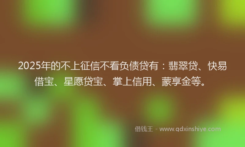 2025年的不上征信不看负债贷有：翡翠贷、快易借宝、星愿贷宝、掌上信用、蒙享金等。