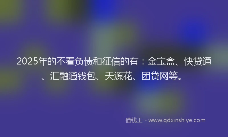 2025年的不看负债和征信的有：金宝盒、快贷通、汇融通钱包、天源花、团贷网等。