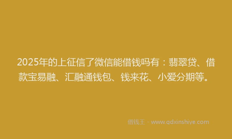 2025年的上征信了微信能借钱吗有：翡翠贷、借款宝易融、汇融通钱包、钱来花、小爱分期等。