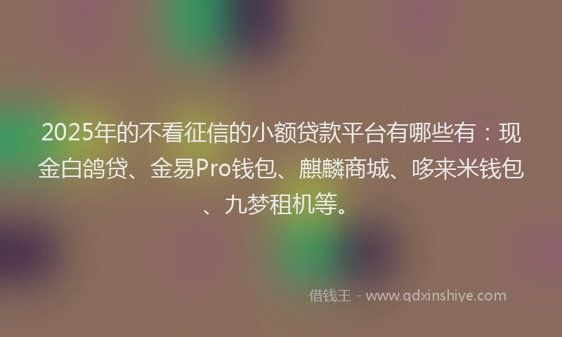2025年的不看征信的小额贷款平台有哪些有：现金白鸽贷、金易Pro钱包、麒麟商城、哆来米钱包、九梦租机等。