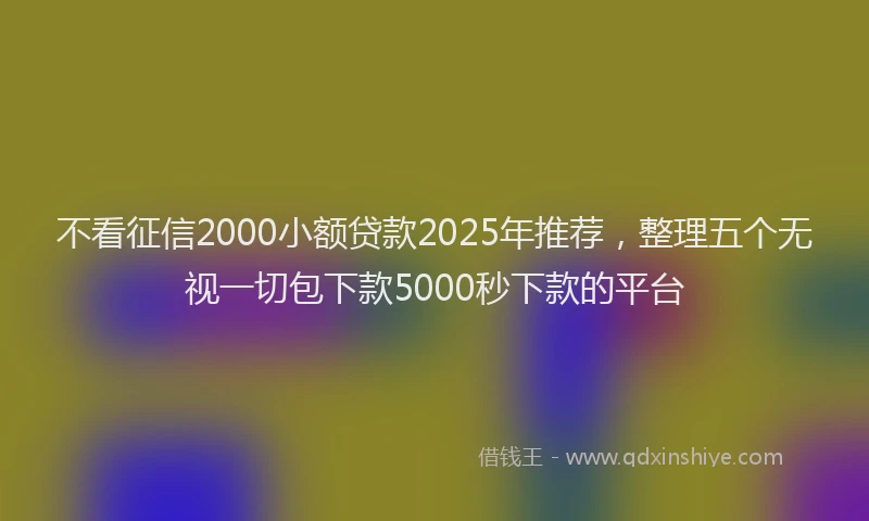 不看征信2000小额贷款2025年推荐，整理五个无视一切包下款5000秒下款的平台