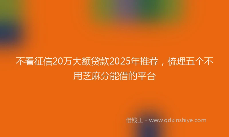 不看征信20万大额贷款2025年推荐，梳理五个不用芝麻分能借的平台