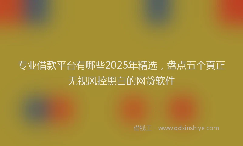专业借款平台有哪些2025年精选，盘点五个真正无视风控黑白的网贷软件