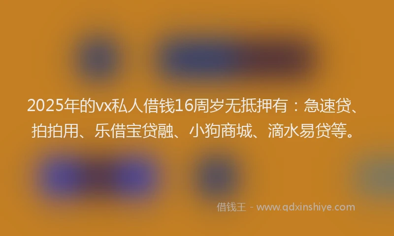 2025年的vx私人借钱16周岁无抵押有：急速贷、拍拍用、乐借宝贷融、小狗商城、滴水易贷等。