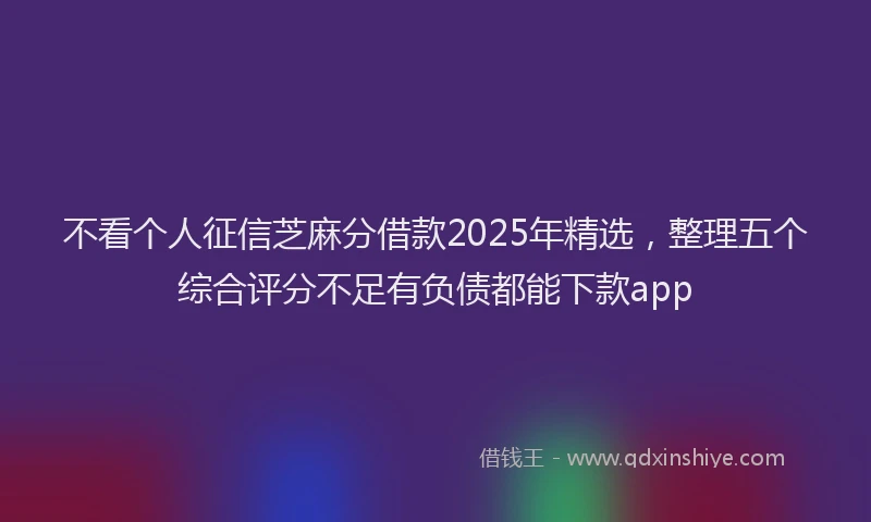 不看个人征信芝麻分借款2025年精选，整理五个综合评分不足有负债都能下款app