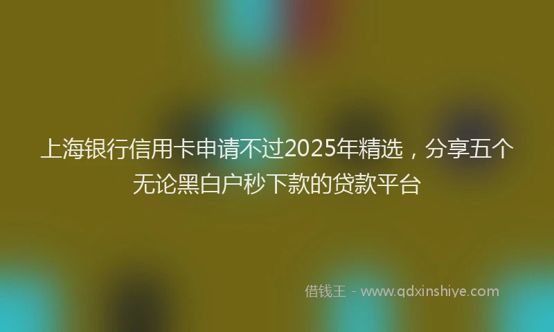 上海银行信用卡申请不过2025年精选，分享五个无论黑白户秒下款的贷款平台