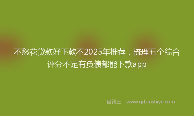 不愁花贷款好下款不2025年推荐，梳理五个综合评分不足有负债都能下款app