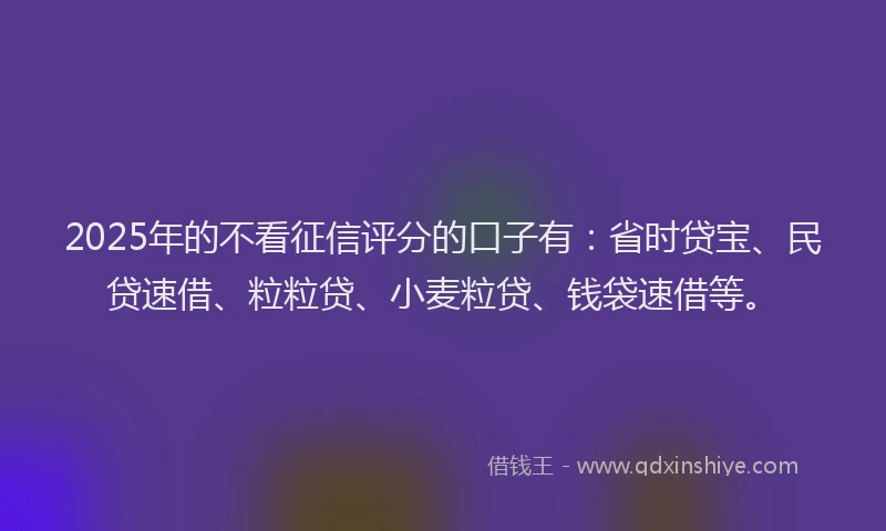 2025年的不看征信评分的口子有：省时贷宝、民贷速借、粒粒贷、小麦粒贷、钱袋速借等。