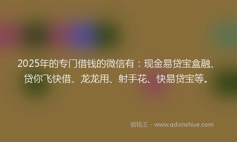 2025年的专门借钱的微信有：现金易贷宝盒融、贷你飞快借、龙龙用、射手花、快易贷宝等。