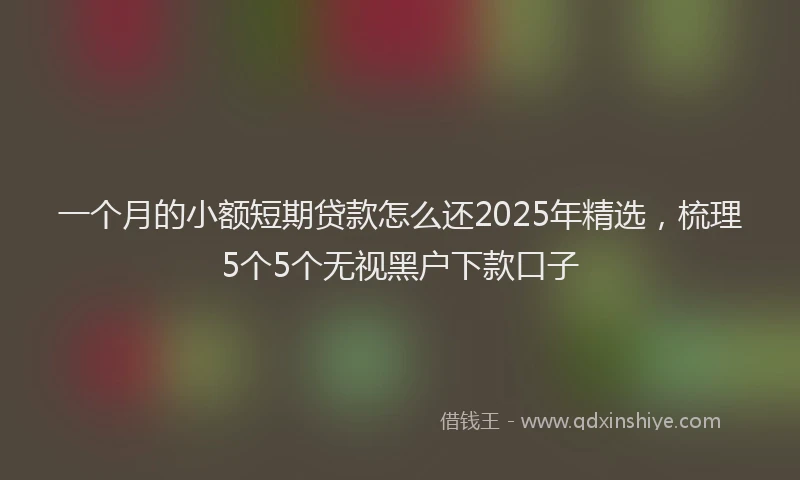 一个月的小额短期贷款怎么还2025年精选，梳理5个5个无视黑户下款口子