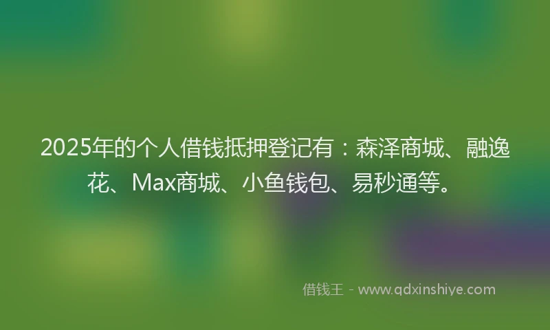 2025年的个人借钱抵押登记有：森泽商城、融逸花、Max商城、小鱼钱包、易秒通等。