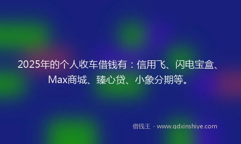 2025年的个人收车借钱有：信用飞、闪电宝盒、Max商城、臻心贷、小象分期等。
