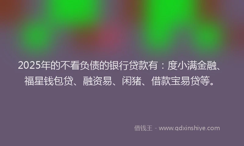 2025年的不看负债的银行贷款有：度小满金融、福星钱包贷、融资易、闲猪、借款宝易贷等。