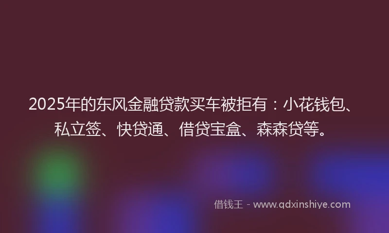 2025年的东风金融贷款买车被拒有：小花钱包、私立签、快贷通、借贷宝盒、森森贷等。