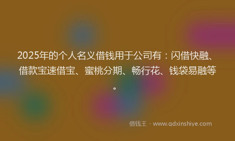 2025年的个人名义借钱用于公司有：闪借快融、借款宝速借宝、蜜桃分期、畅行花、钱袋易融等。