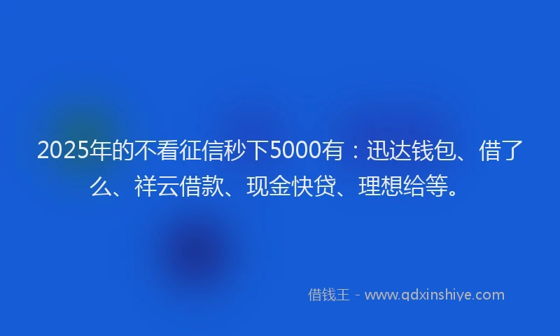 2025年的不看征信秒下5000有：迅达钱包、借了么、祥云借款、现金快贷、理想给等。