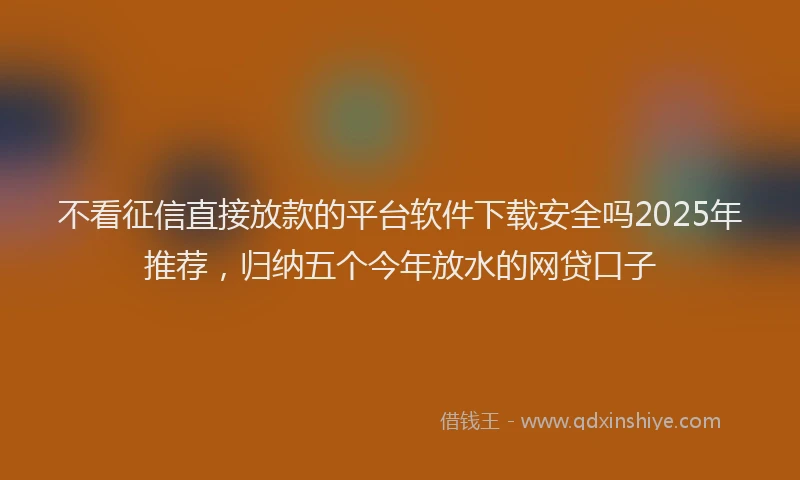 不看征信直接放款的平台软件下载安全吗2025年推荐，归纳五个今年放水的网贷口子