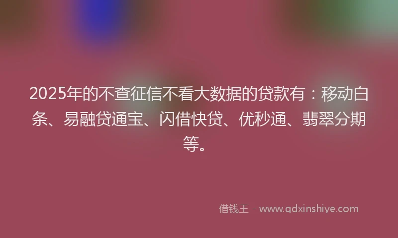 2025年的不查征信不看大数据的贷款有：移动白条、易融贷通宝、闪借快贷、优秒通、翡翠分期等。