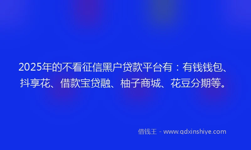 2025年的不看征信黑户贷款平台有：有钱钱包、抖享花、借款宝贷融、柚子商城、花豆分期等。