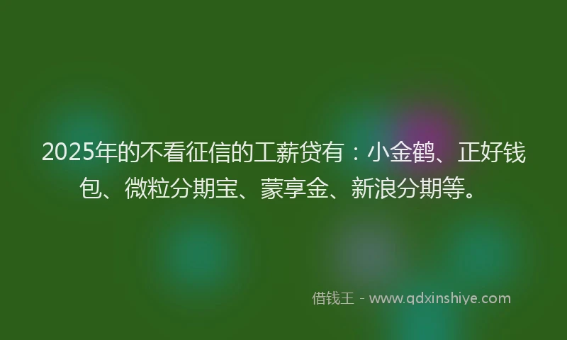 2025年的不看征信的工薪贷有：小金鹤、正好钱包、微粒分期宝、蒙享金、新浪分期等。