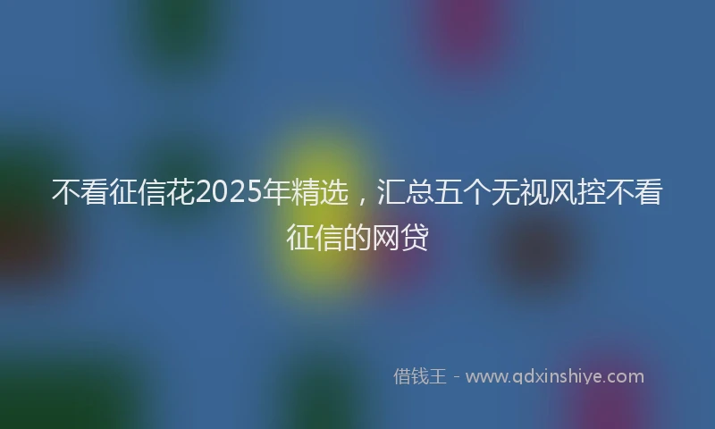 不看征信花2025年精选，汇总五个无视风控不看征信的网贷