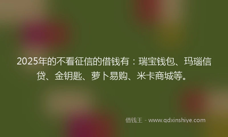 2025年的不看征信的借钱有：瑞宝钱包、玛瑙信贷、金钥匙、萝卜易购、米卡商城等。