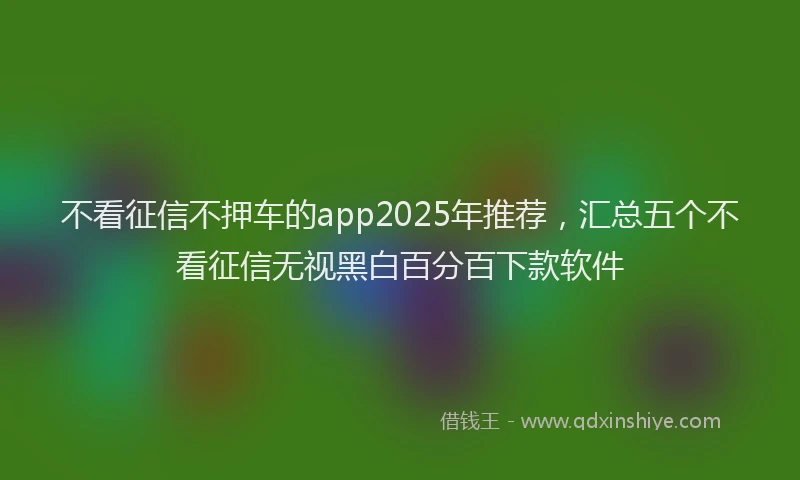 不看征信不押车的app2025年推荐，汇总五个不看征信无视黑白百分百下款软件