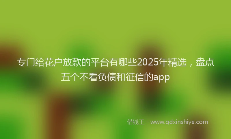 专门给花户放款的平台有哪些2025年精选，盘点五个不看负债和征信的app