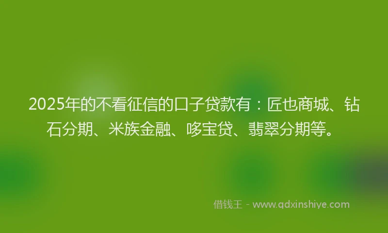 2025年的不看征信的口子贷款有：匠也商城、钻石分期、米族金融、哆宝贷、翡翠分期等。