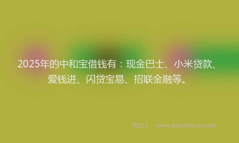 2025年的中和宝借钱有：现金巴士、小米贷款、爱钱进、闪贷宝易、招联金融等。