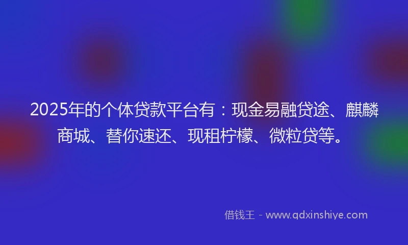 2025年的个体贷款平台有：现金易融贷途、麒麟商城、替你速还、现租柠檬、微粒贷等。