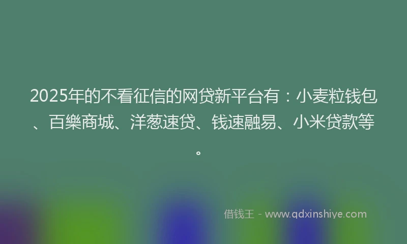 2025年的不看征信的网贷新平台有：小麦粒钱包、百樂商城、洋葱速贷、钱速融易、小米贷款等。