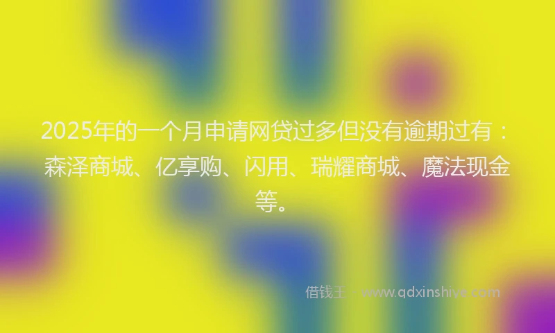 2025年的一个月申请网贷过多但没有逾期过有：森泽商城、亿享购、闪用、瑞耀商城、魔法现金等。
