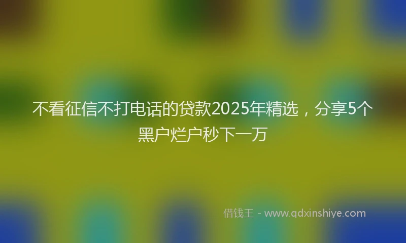 不看征信不打电话的贷款2025年精选，分享5个黑户烂户秒下一万