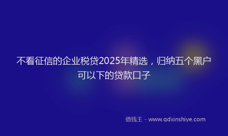 不看征信的企业税贷2025年精选，归纳五个黑户可以下的贷款口子