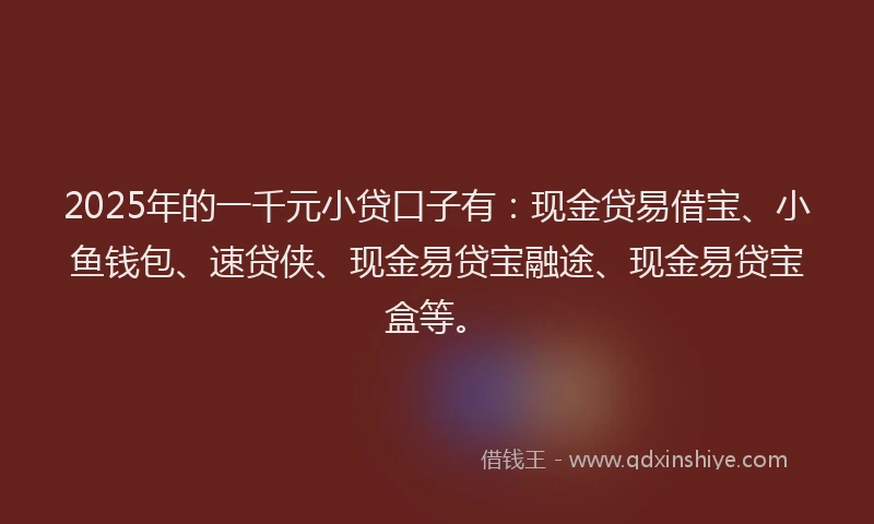 2025年的一千元小贷口子有：现金贷易借宝、小鱼钱包、速贷侠、现金易贷宝融途、现金易贷宝盒等。