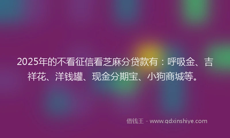 2025年的不看征信看芝麻分贷款有：呼吸金、吉祥花、洋钱罐、现金分期宝、小狗商城等。