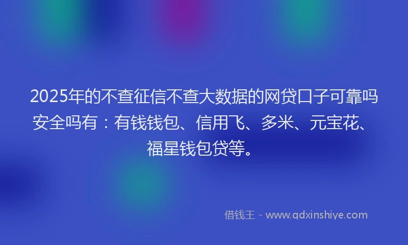 2025年的不查征信不查大数据的网贷口子可靠吗安全吗有：有钱钱包、信用飞、多米、元宝花、福星钱包贷等。