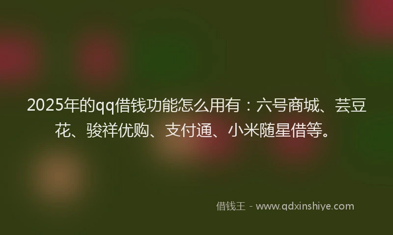 2025年的qq借钱功能怎么用有：六号商城、芸豆花、骏祥优购、支付通、小米随星借等。