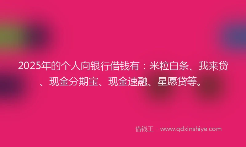2025年的个人向银行借钱有：米粒白条、我来贷、现金分期宝、现金速融、星愿贷等。