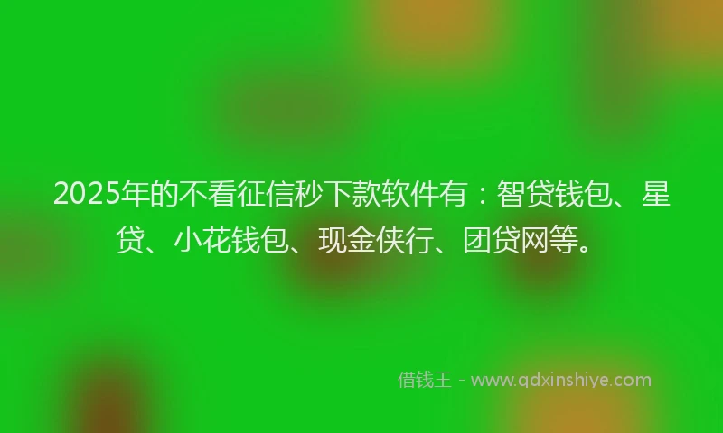 2025年的不看征信秒下款软件有：智贷钱包、星贷、小花钱包、现金侠行、团贷网等。