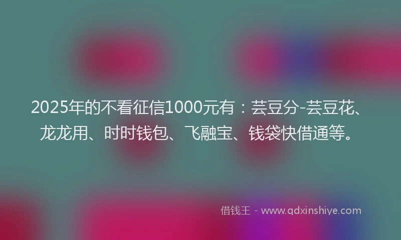 2025年的不看征信1000元有：芸豆分-芸豆花、龙龙用、时时钱包、飞融宝、钱袋快借通等。
