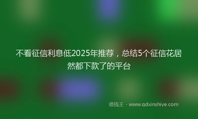 不看征信利息低2025年推荐，总结5个征信花居然都下款了的平台