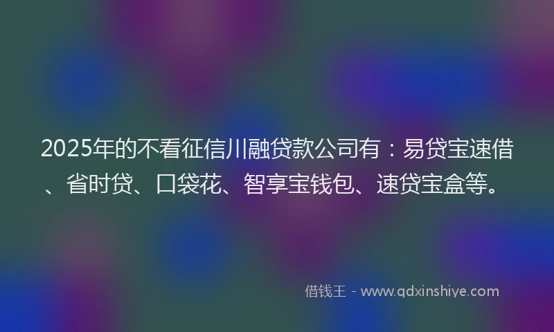 2025年的不看征信川融贷款公司有：易贷宝速借、省时贷、口袋花、智享宝钱包、速贷宝盒等。