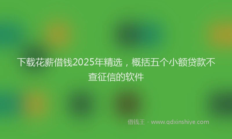 下载花薪借钱2025年精选，概括五个小额贷款不查征信的软件