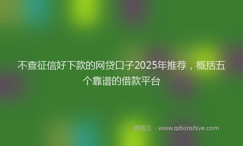 不查征信好下款的网贷口子2025年推荐，概括五个靠谱的借款平台