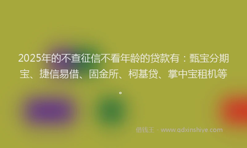 2025年的不查征信不看年龄的贷款有：甄宝分期宝、捷信易借、固金所、柯基贷、掌中宝租机等。