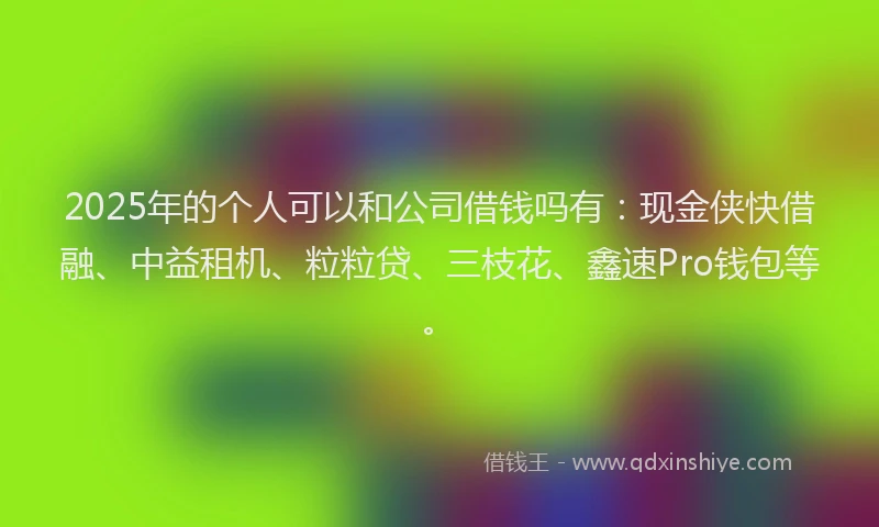 2025年的个人可以和公司借钱吗有：现金侠快借融、中益租机、粒粒贷、三枝花、鑫速Pro钱包等。